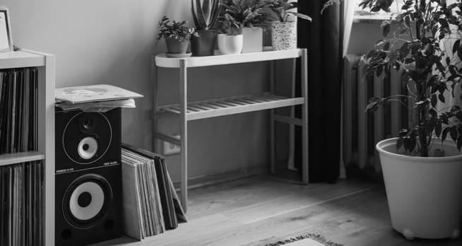 ZX9 Speaker — detail two