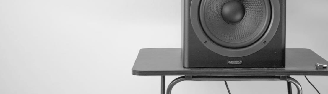 ZX7 speaker