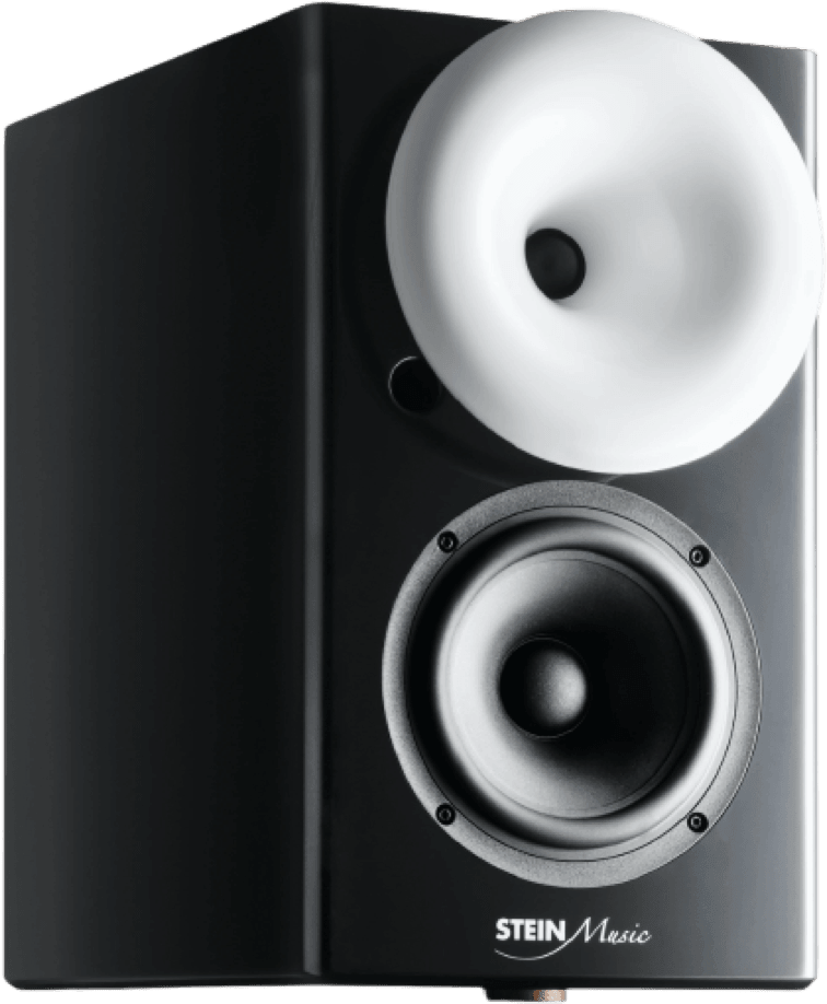 ZX9 speaker